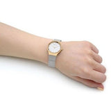 Ladies Bering Classic Watch