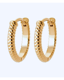 Burren - Coiled Earrings