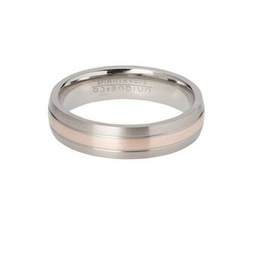 5.5mm Titanium & Silver Inlay Ring
