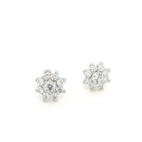 9ct White Gold CZ Cluster Studs